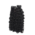 Raw Burmese Curly